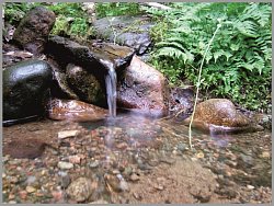Родниковая водица из-под камушка струится